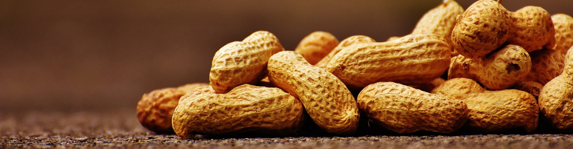 Argentinian Peanut Wholesalers